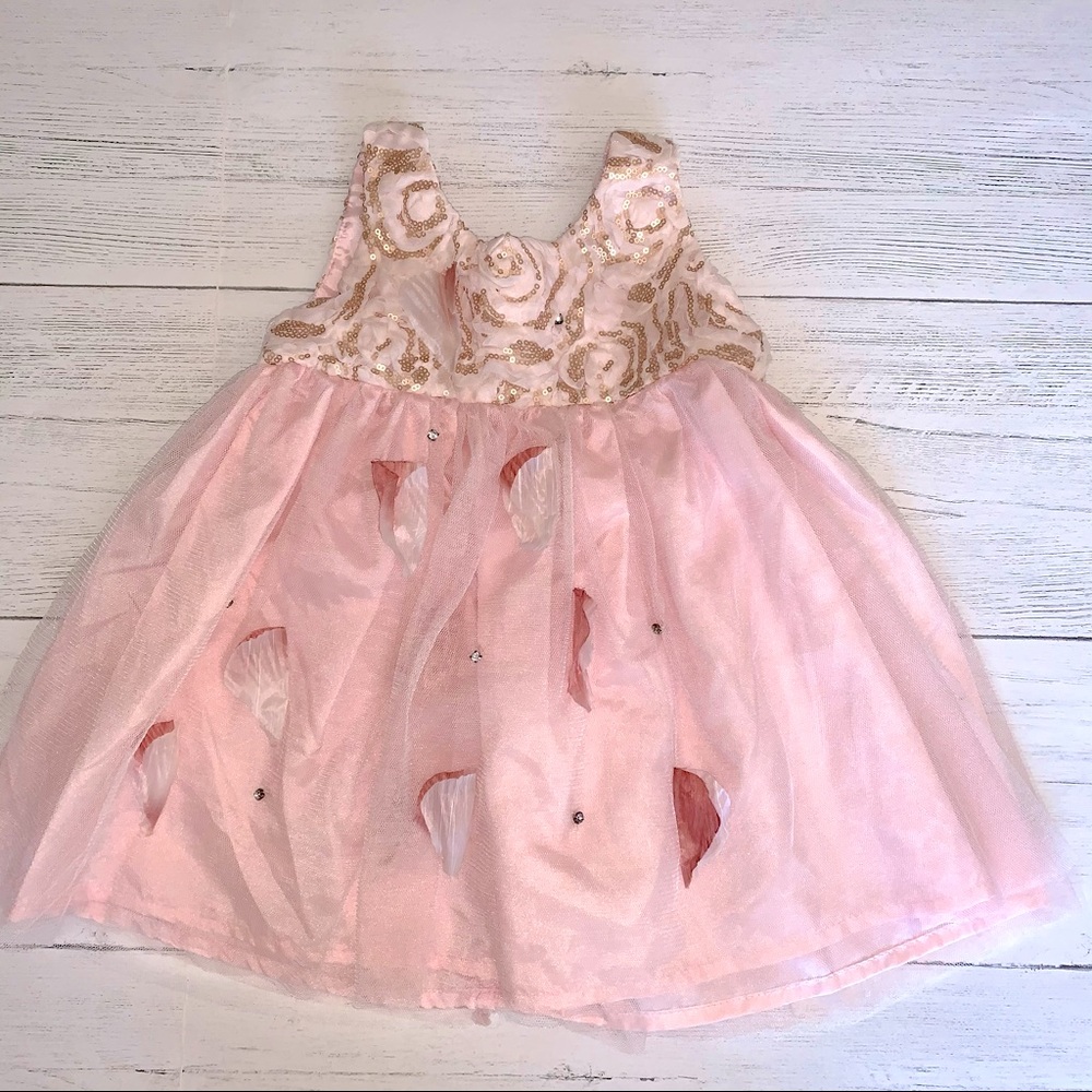 Le Pink Rose Sequin and Tulle Accent Dress Size 18M